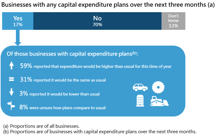 Businesses with any capital expenditure plans over the next three months
