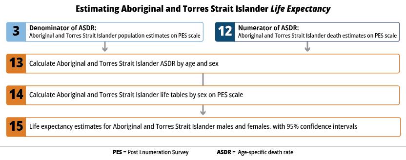 Flow chart of the steps involved in estimating Aboriginal and Torres Strait Islander life expectancy, which is calculated from the age-specific death rate (ASDR)