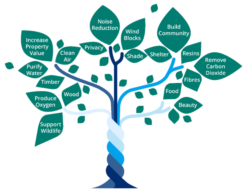 Benefits of trees image