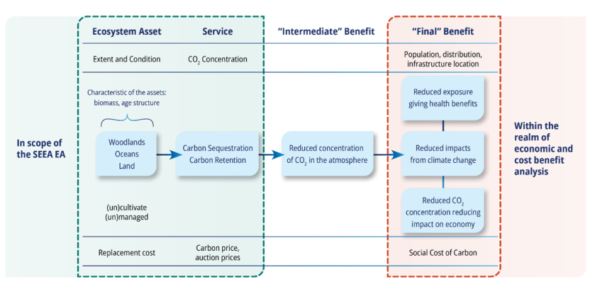 Logic chain for global climate regulation services
