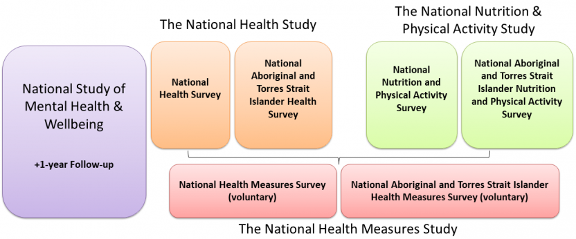 Intergenerational Health and Mental Health Study diagram.