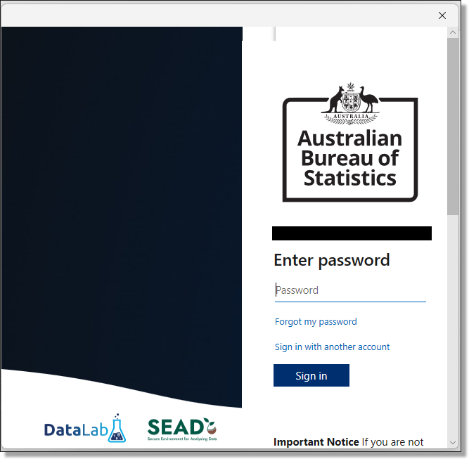 Windows App password