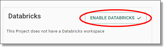 enable databricks
