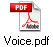 Voice.pdf