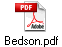 Bedson.pdf