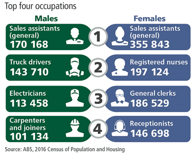 Infographic showing the top four Occupations for males and females.