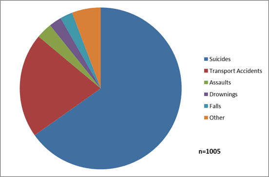 Diagram: Proportion of external Drug Related Deaths, 2016 (a)(b)