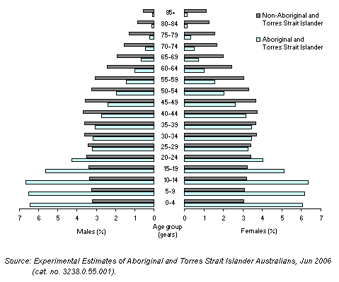 Diagram: 1.10 POPULATION, By age, sex and Aboriginal and Torres Strait Islander status, NSW—June 2006