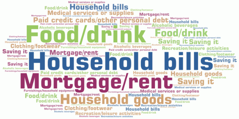 Word cloud image showing stimulus payment uses for persons aged 18 years and over receiving the JobKeeper Payment