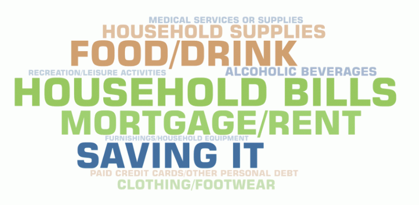 Word cloud image for persons aged 18 years and over showing the most common uses of the Coronavirus Supplement