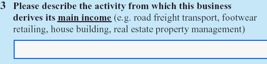 Question with examples: Please describe the activity from which this business derives its main income (e.g., road freight transport, footwear retailing, house building, real estate property management)? 