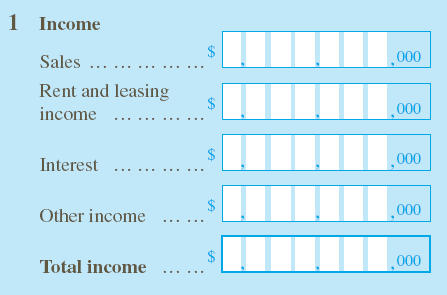 Income: Sales; Rent and leasing income; Interest; Other income; Total income. 