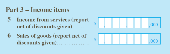 Income items: 1. Income from services (report net of discounts given) 2. Sales of goods (report net of discounts given)